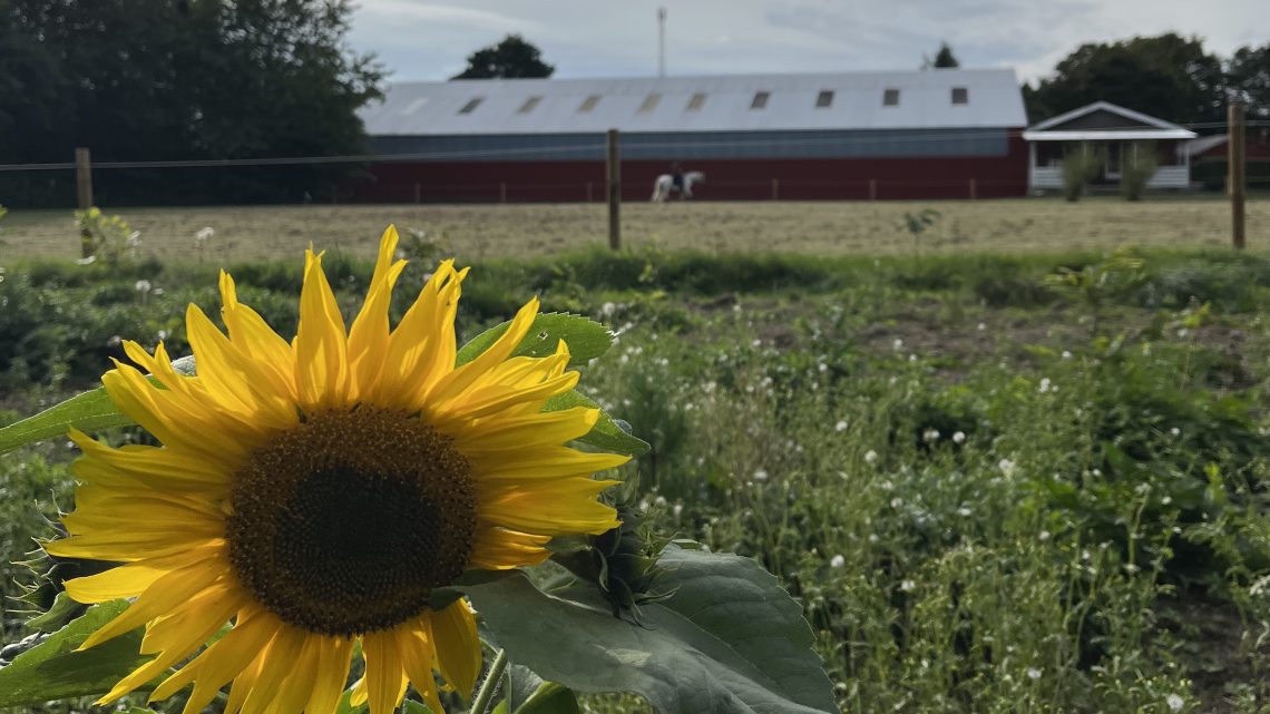 Mejlby Rideklub Biodiversitet